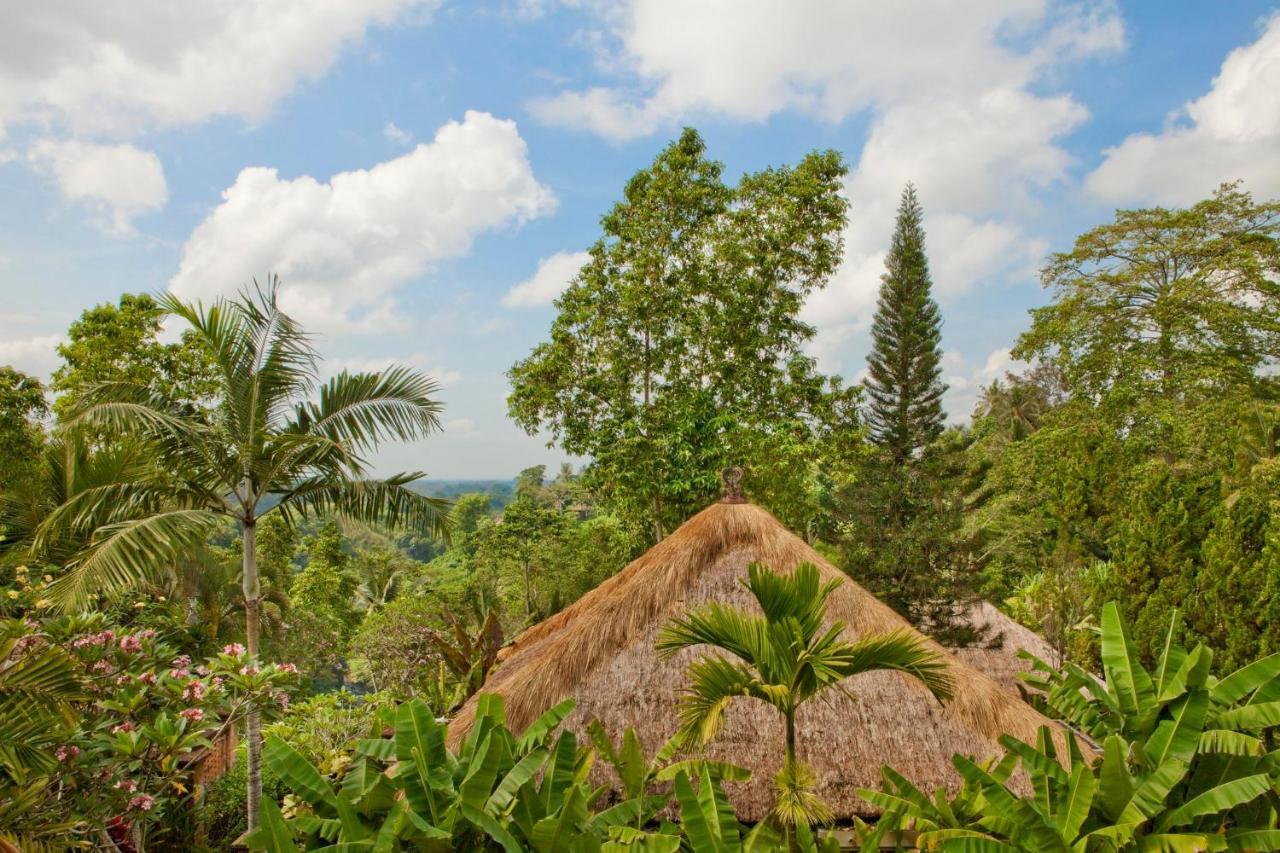 Uma सहारा Ubud (Bali)